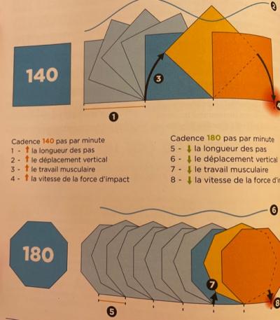  Course a pied, Running ou jogging, effet de la cadence sur la biomecanique - Osteopathie